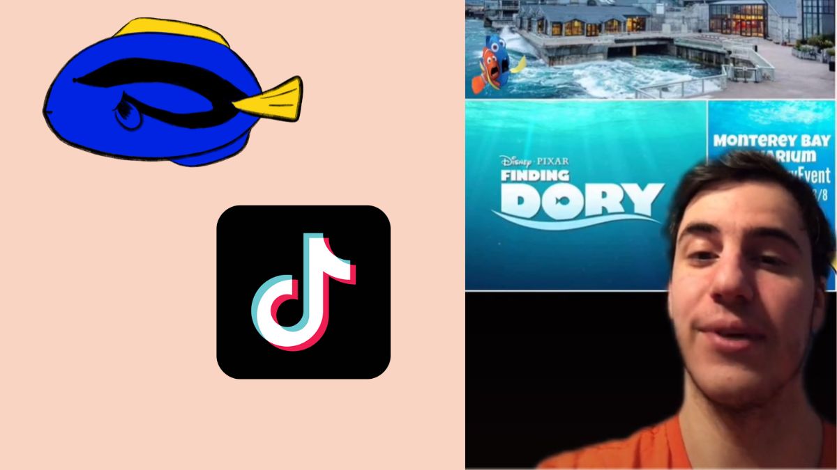 TikTok-Creator hat Easter Eggs bei "Findet Dorie" gefunden.