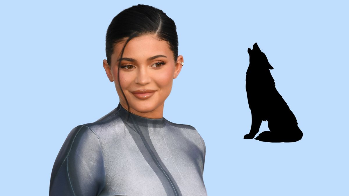 Kylie Jenners Sohn heißt immer noch Wolf